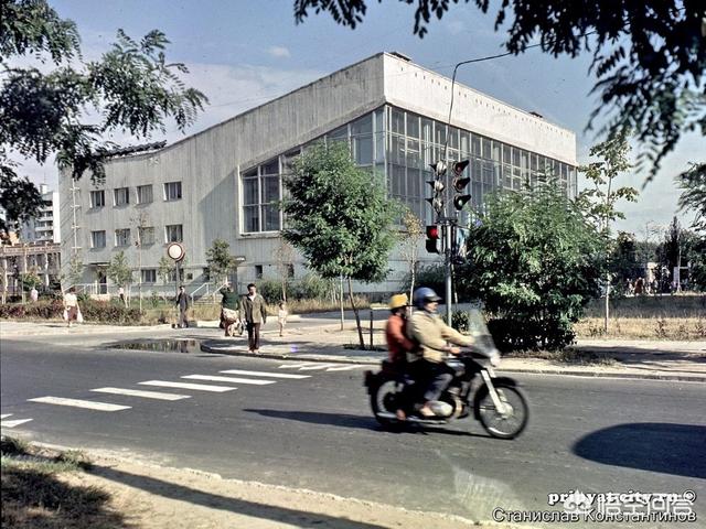爱尔兰雪达犬价格图片:《警花与警犬》那些狗狗是什么种类啊?有卖吗?价格多少啊？
