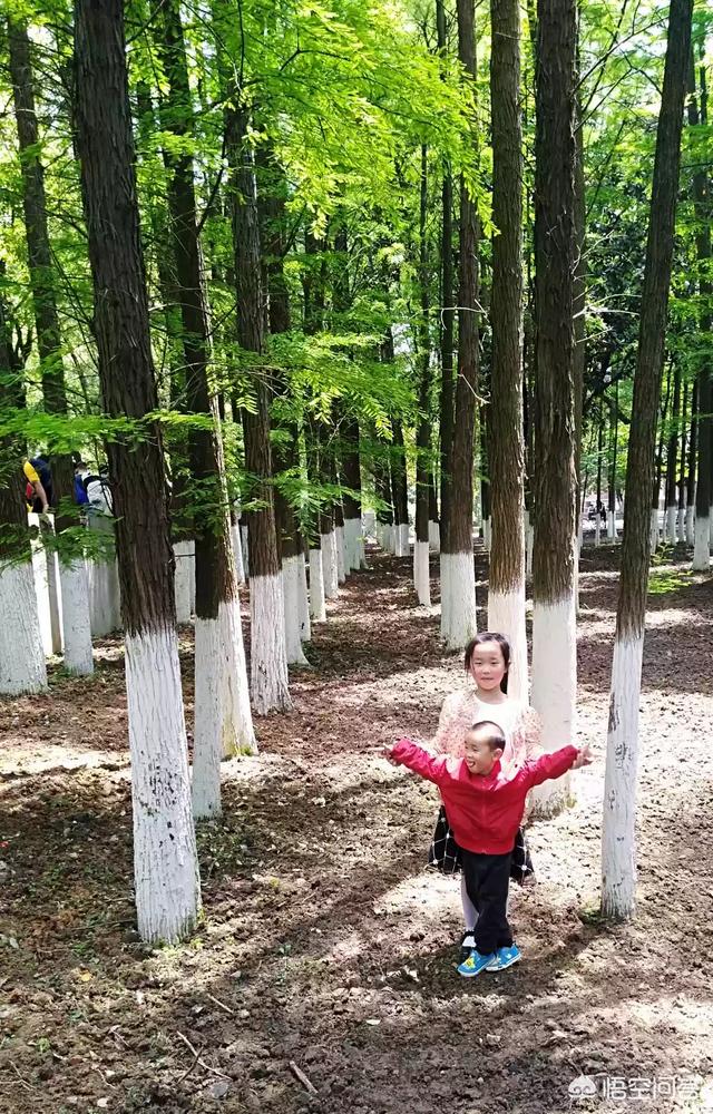 鸟啦网张嘉倪写真:作为摄影师旅行时遇到很有气质的美女，你会邀请她拍人像写真吗？
