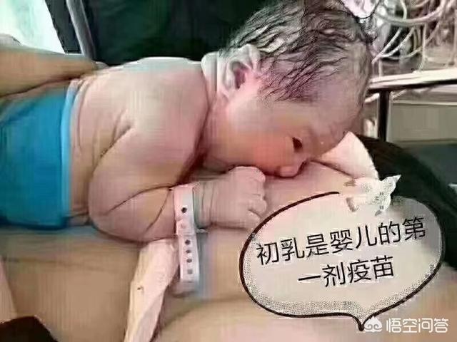 90后女生挤奶喂小狗图片:母乳喂养令我身心俱疲，我是否应该放下追求纯母乳喂养的执念？