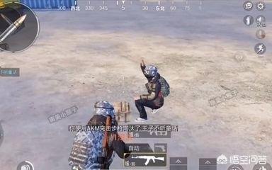 《刺激战场》与《和平精英》有什么区别？