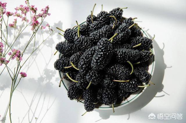 头条问答 红葡萄洒能泡桑葚吗 有何功效 8个回答