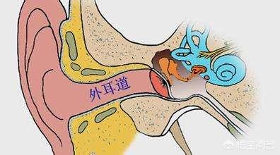 外耳炎一周未好:外耳道炎的症状表现是怎样的？