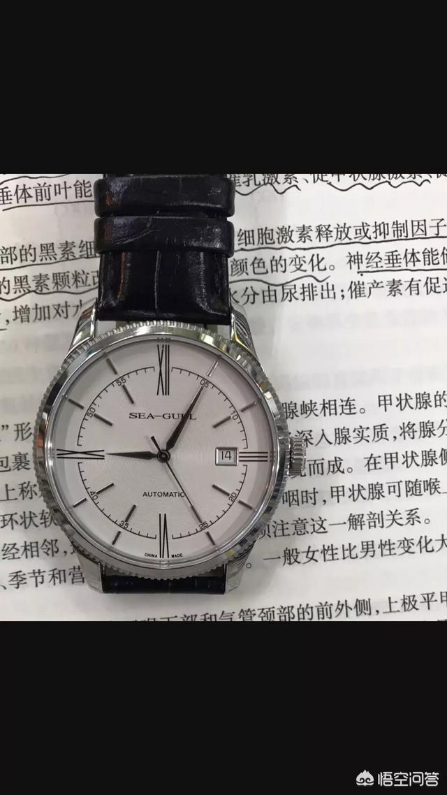 3500元以内想购入一只手表，是国产名表海鸥好还是瑞士入门天梭好？还有别的推荐吗？