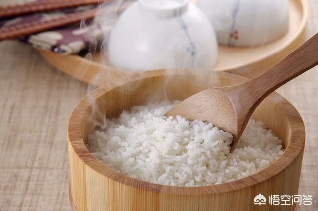 米饭和馒头哪个更充饥，为什么吃面食比米饭容易撑