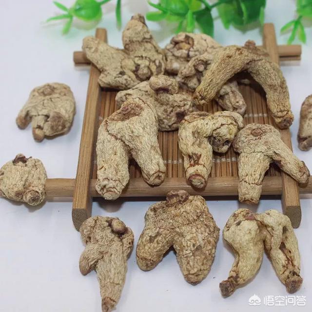 小白芨图片的功效与作用:白芨在中国画中的作用是什么？