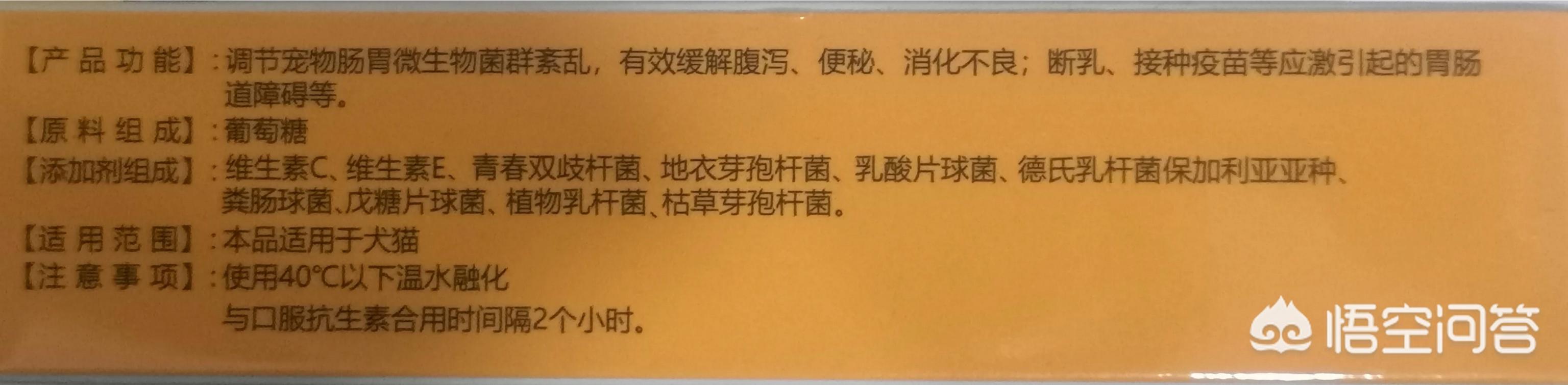 2020狗消化系统常见疾病:老年阿拉斯加犬肠胃不好吃什么？