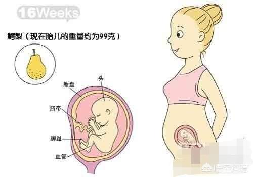 杭州黑诊所违规鉴定胎儿性别，失误致孕妇打掉男胎，你怎么看