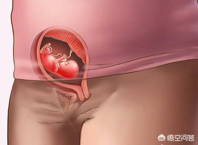 孕妇如何保养自己的身体，怀孕5个月的胎儿是什么样子的呢孕妇怎样保养好身体呢