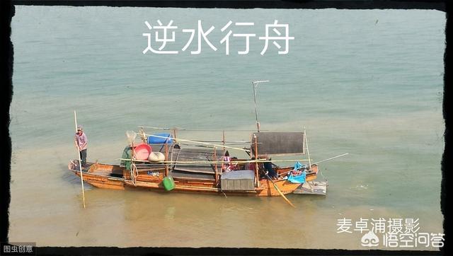 普世智慧思考的意义是什么？