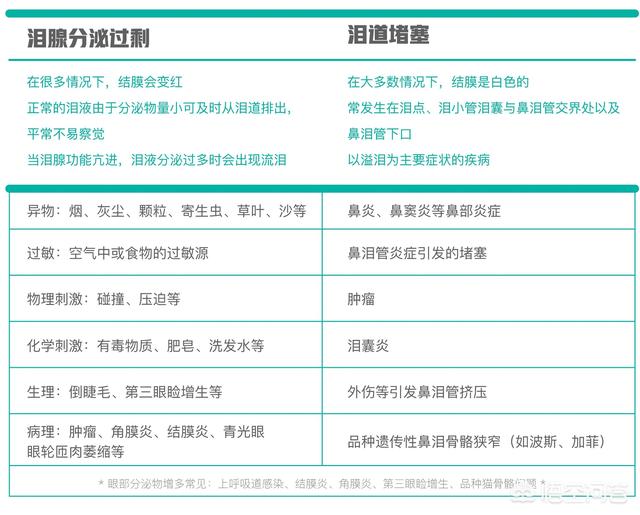 橘猫吃药视频:猫咪生病了，一直流眼泪怎么办？ 橘猫吃醋视频