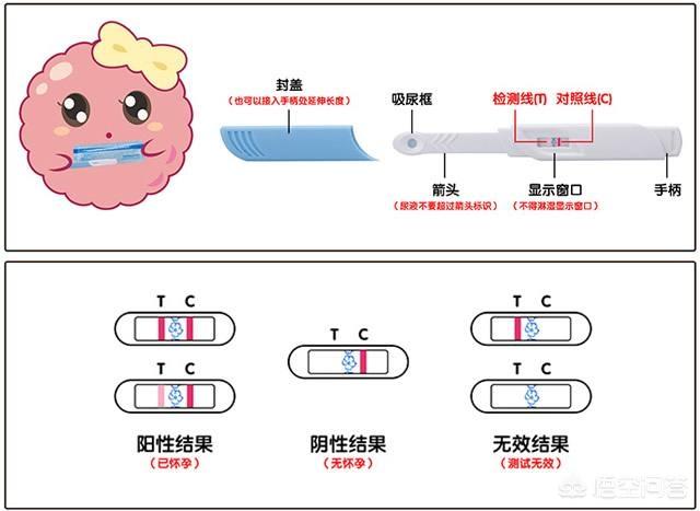 验孕棒如何判断是否怀孕:怎样看验孕棒 验孕棒只有一条杠，但是居然检查怀孕了，是怎么回事？