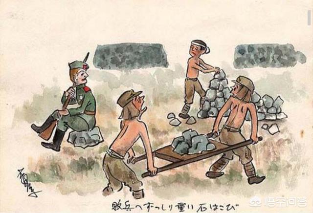 西伯利亚森林猫舍:60万日军俘虏去西伯利亚挖土豆，10年后为什么只回来50万？ Geniegoo西伯利亚森林猫舍