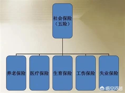 社保新农合是医保吗_社保跟新农合_社保新农合重复参保