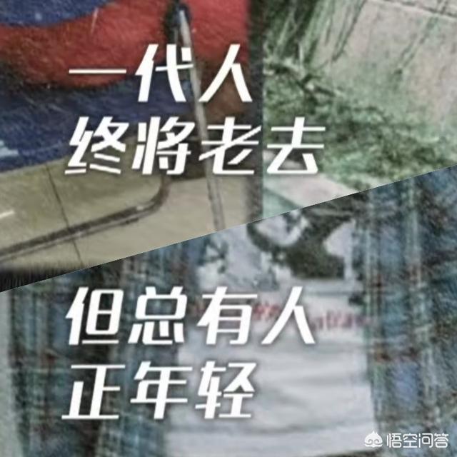 果味vc乐队:如何评价《乐队的夏天》？