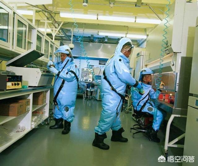 埃博拉病毒僵尸:17年后，如果新冠病毒和丧尸病毒其中之一会来，你更希望是谁？