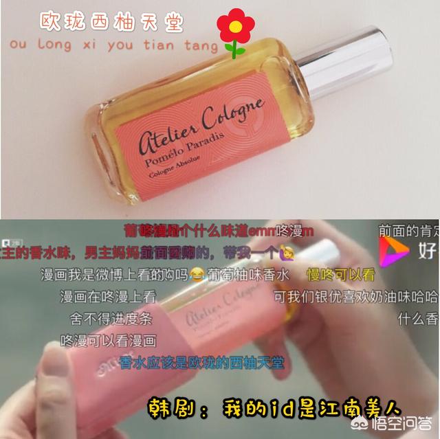 我的id是江南美人漫画:有没有好闻清淡正品的西柚味香水推荐