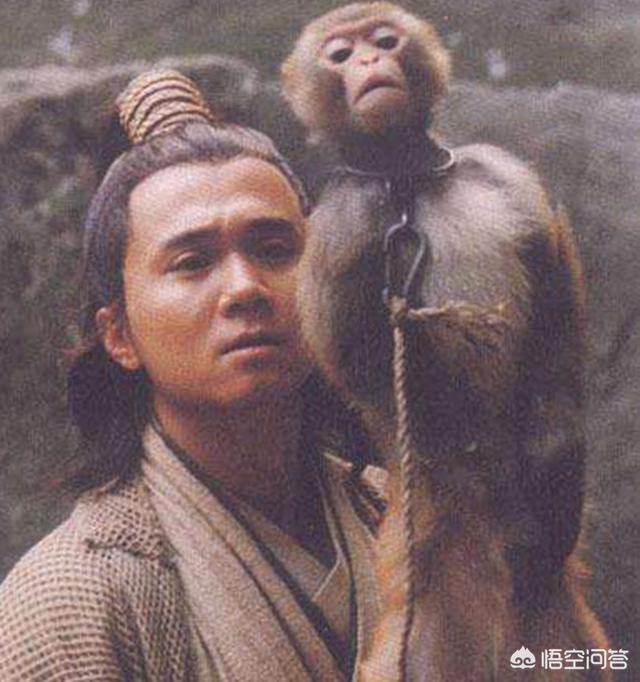 蓝脚鲣鸟一家原图:风清扬乃是剑宗高手，内力并不高，为何还被称为天下第一？