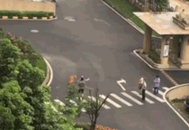 山东威海虐狗事件:金毛护主被活活打死，除了心痛，肇事者应该接受怎样的制裁？
