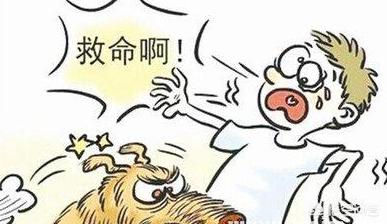纽波利顿对比南非獒:你知道哪几类型的狗最容易咬人吗？