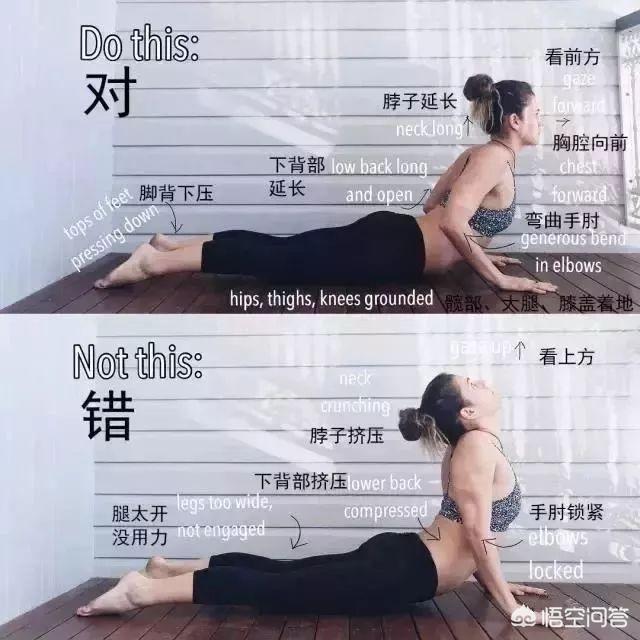瑜伽狗:自学瑜伽，哪些动作容易练错？ 瑜伽狗头像