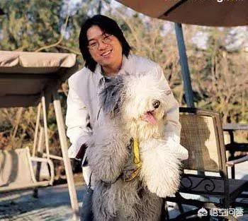 茅以升简介:武汉长江大桥是谁设计的？