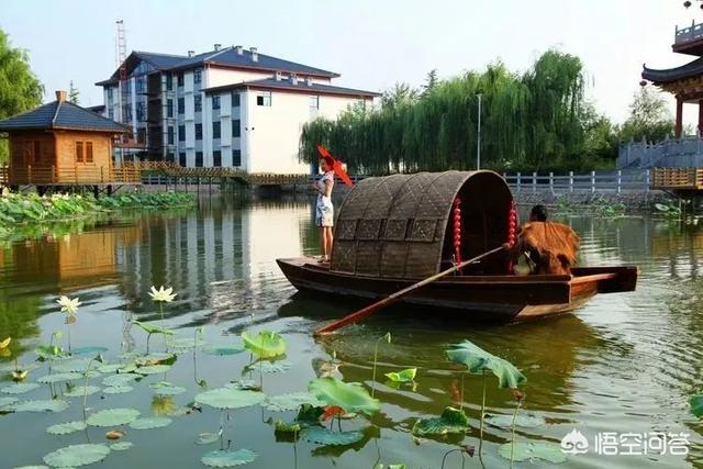 洛阳周边游:洛阳周边游有哪些地方景点一定要去？(洛阳景区有哪些景点开放)