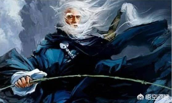 漯河临颍县波米拉猫多少钱一只:博尔顿被炒，临时继任者库普曼是怎样一个人？