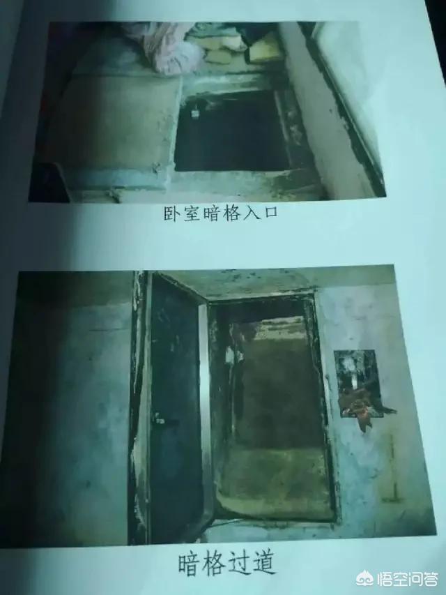 疯狂少女群:美国正在疯狂退群，是不是要走到人类的对立面去？