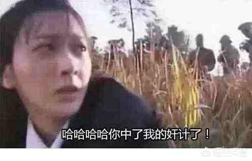 欢喜来逗阵剧情介绍:哪些神剧镜头会让人感觉自己的智商被摁在地上摩擦？