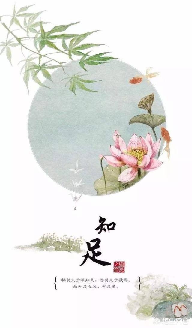 神秘之法:老子的道教为什么走向衰落，是什么原因导致的