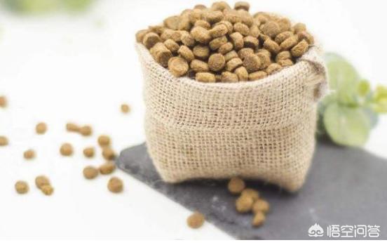 给英短吃的猫饭:英国短毛猫吃什么猫粮好？