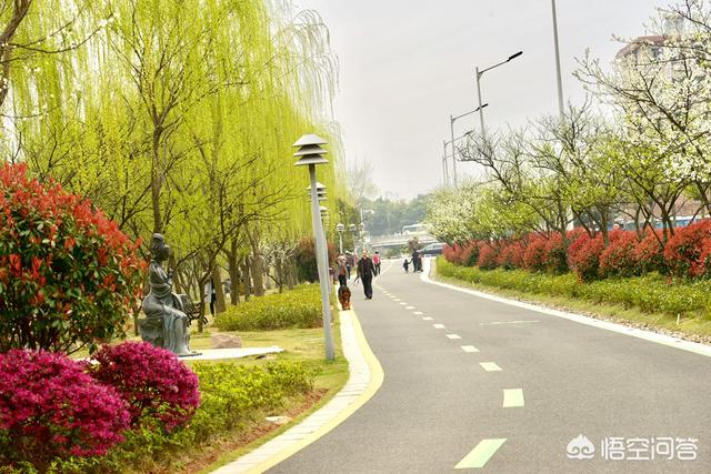 毛致毛致用简历:在小城市买了房欠了点钱，想把农村的房子卖掉合适不？