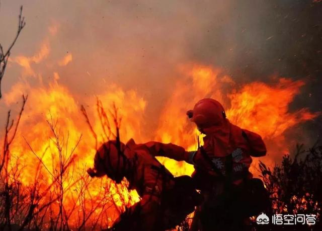 救火英雄生前影像:30位灭火英雄，哪有岁月安好，是有人替你负重前行！你怎么看？