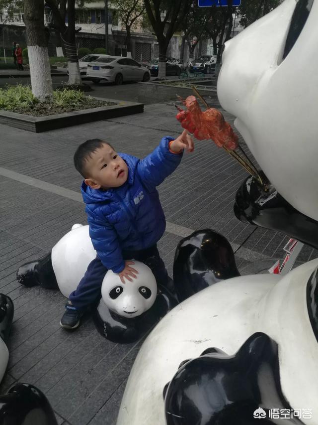 带宠物鸭扫大街萌翻网友:为什么摄影师都喜欢往四川跑？