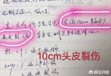 如何看待知名博主行尸走肥肉打人？有无可能洗白？