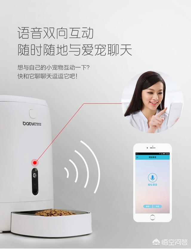 宠物狗用品排行:狗狗最喜欢玩什么样的玩具呢？