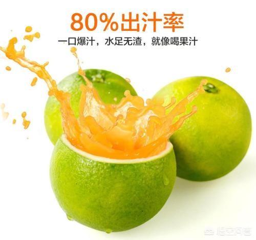 柑橘的种类很多桔子的种类，都有什么呢？
桔子的种类？