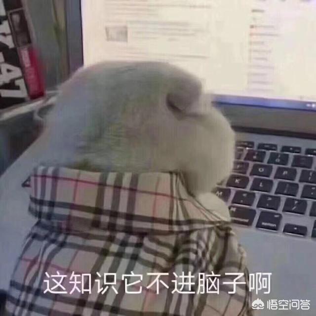 怎么追女生？追女生的流程模式是什么？