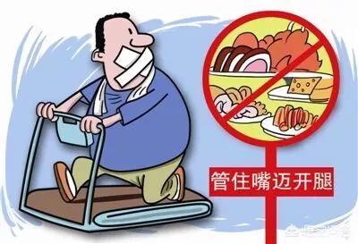 痛风能喝菊花茶吗,菊花能抑制嘌呤的合成吗？