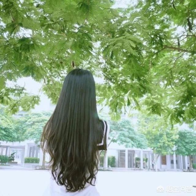 普京之后再无普京为何说普京不可能指定梅德韦杰夫为接班人