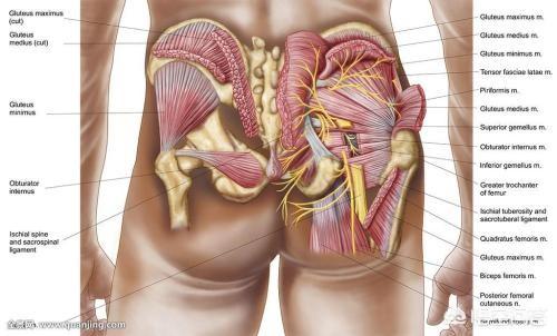 腰椎间盘4和5节段突出，臀部疼是怎么回事？