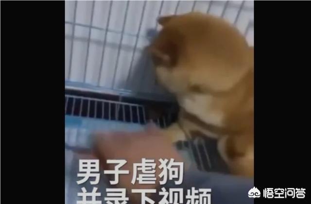 留学生分尸:听朋友说在国企的人不“露富”，是这样吗？