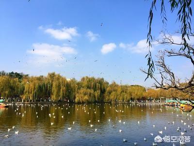 莽荒纪电视剧:王鸥刘恺威主演电视剧《莽荒纪》是否能超越权利游戏的魔幻大片？