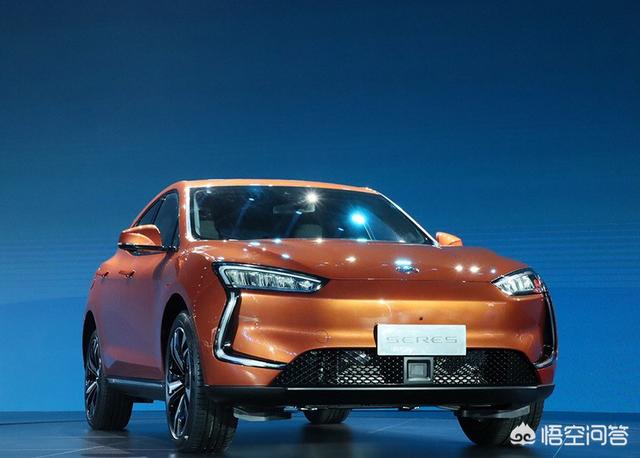 上海 电动汽车，有谁去了上海车展吗哪个电动汽车品牌比较有看头啊