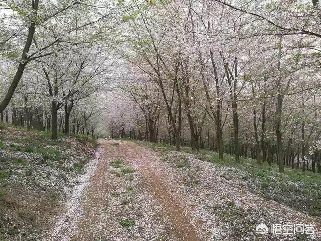 贵阳有哪些旅游景点？