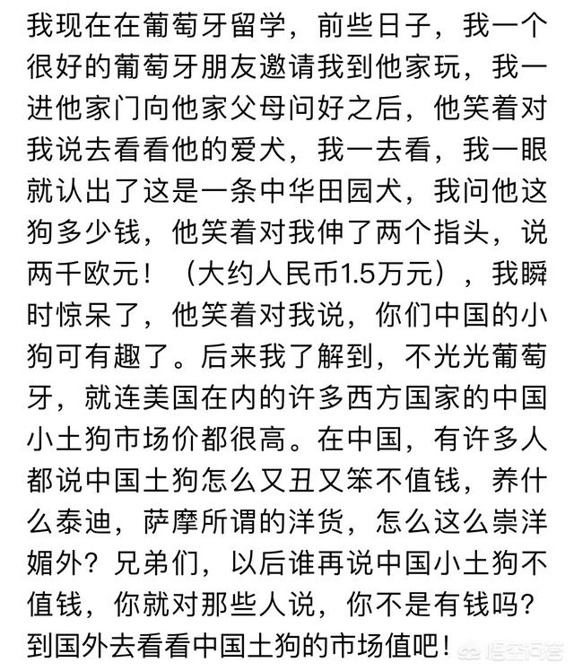 铜仁松狮犬舍:松狮犬与土狗杂交出来的狗是什么品种？值钱吗？