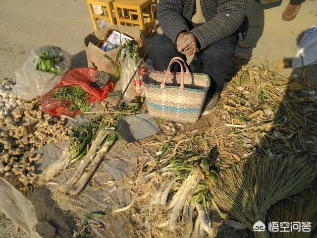 周公解梦梦见竹笋是什么意思,在农村，如何做无成本生意？