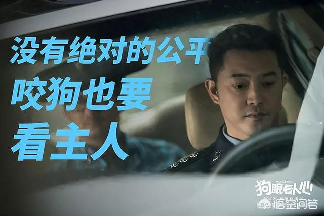 狗咬狗电影:电影《狗眼看人心》有哪些引人深思的细节？