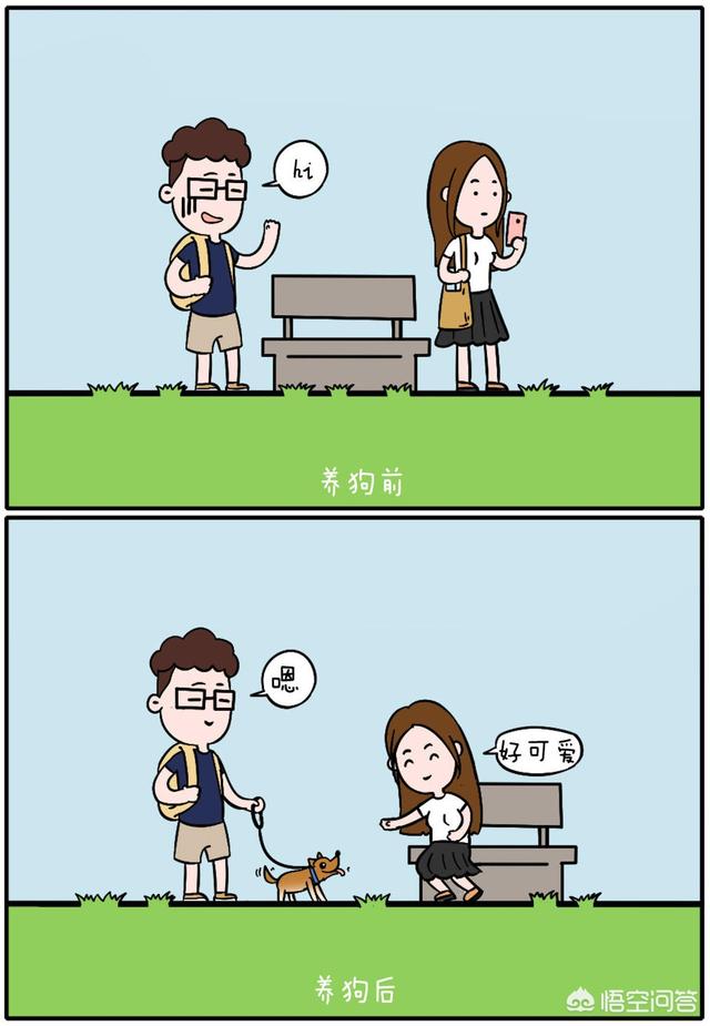 小狗俊介的日长生活:养狗之后，你的生活会有怎样的变化？
