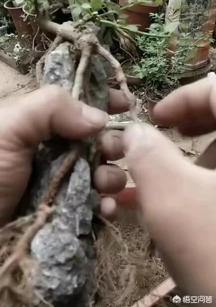 原石做摆件最好的处理方式,你对于原石和打磨是怎么看？